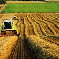 Новые правила сельхозстрахования облегчат жизнь аграриям России