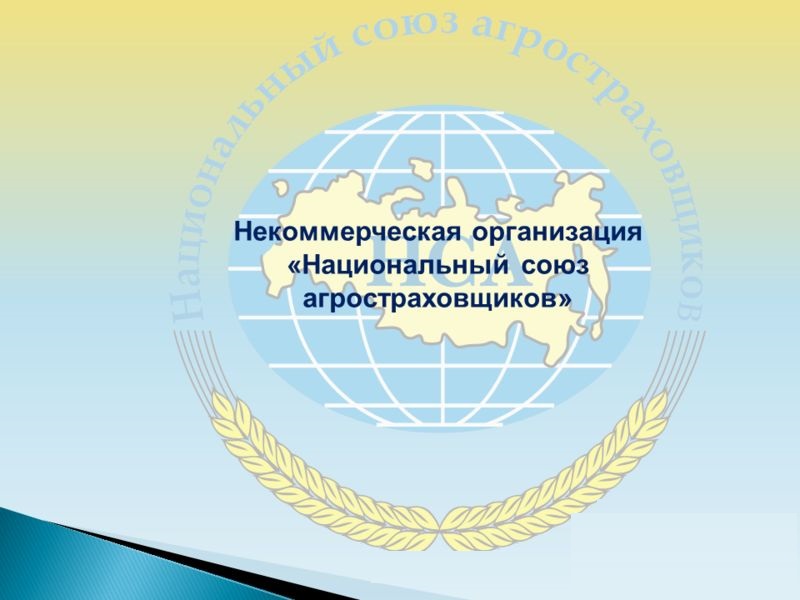 Всероссийский центр мониторинга и прогнозирования ЧС стал партнером НСА
