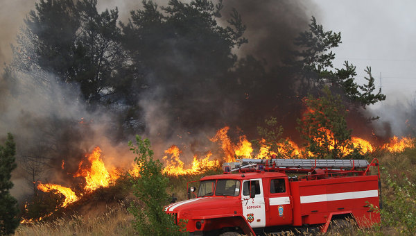 Борцов с лесными пожарами обяжут иметь специальную страховку